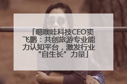 嗯噢哇科技CEO窦飞鹏：共创旅游专业能力认知平台，激发行业“自生长”力量