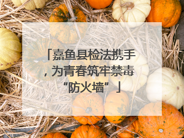 嘉鱼县检法携手，为青春筑牢禁毒“防火墙”