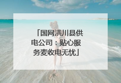国网潢川县供电公司：贴心服务麦收电无忧