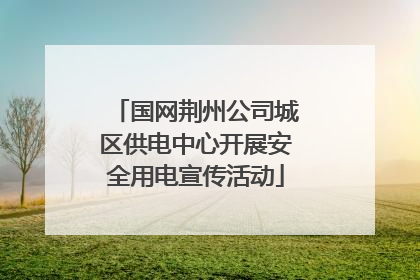 国网荆州公司城区供电中心开展安全用电宣传活动