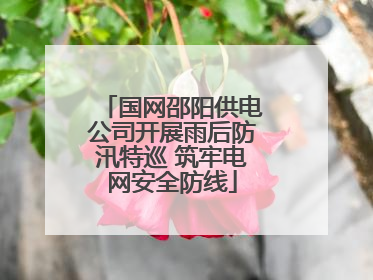 国网邵阳供电公司开展雨后防汛特巡 筑牢电网安全防线