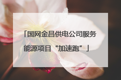 国网金昌供电公司服务能源项目“加速跑”