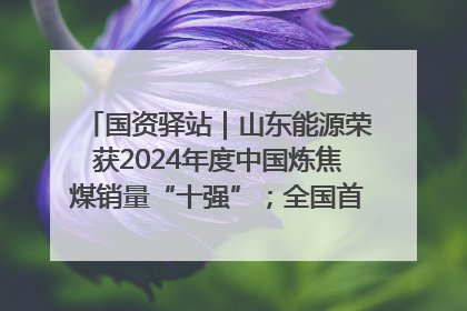 国资驿站｜山东能源荣获2024年度中国炼焦煤销量“十强”；全国首例铁路盖上智慧物流园钢结构主体完工