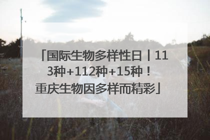 国际生物多样性日丨113种+112种+15种！重庆生物因多样而精彩
