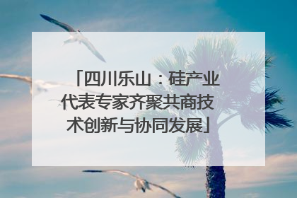 四川乐山：硅产业代表专家齐聚共商技术创新与协同发展