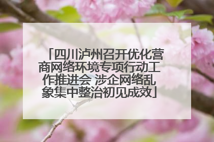四川泸州召开优化营商网络环境专项行动工作推进会 涉企网络乱象集中整治初见成效