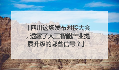 四川这场发布对接大会，透露了人工智能产业提质升级的哪些信号？