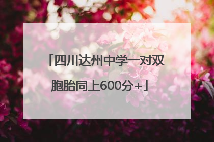 四川达州中学一对双胞胎同上600分+