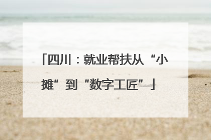四川：就业帮扶从“小摊”到“数字工匠”