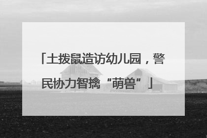 土拨鼠造访幼儿园，警民协力智擒“萌兽”