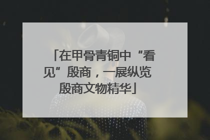 在甲骨青铜中“看见”殷商，一展纵览殷商文物精华