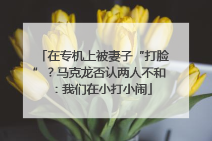 在专机上被妻子“打脸”？马克龙否认两人不和：我们在小打小闹