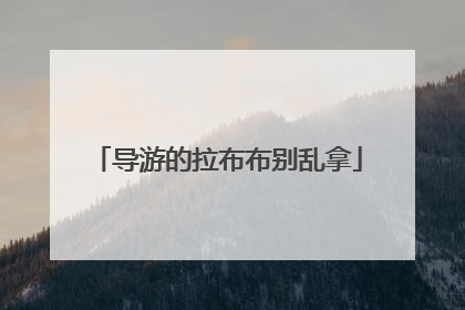 导游的拉布布别乱拿