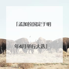 孟加拉国定于明年4月举行大选
