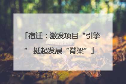 宿迁：激发项目“引擎” 挺起发展“脊梁”
