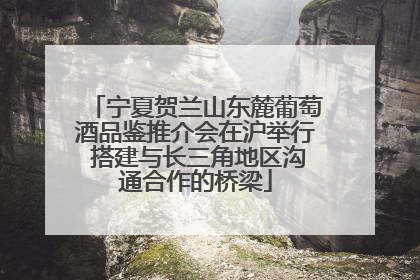 宁夏贺兰山东麓葡萄酒品鉴推介会在沪举行 搭建与长三角地区沟通合作的桥梁