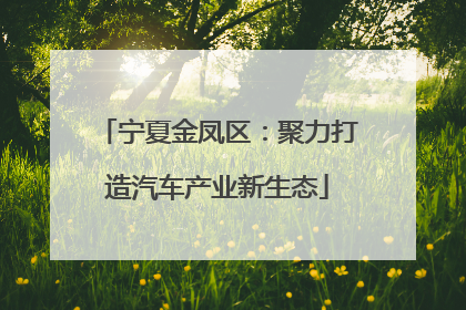 宁夏金凤区：聚力打造汽车产业新生态