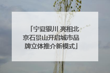 宁夏银川 亮相北京石景山开启城市品牌立体推介新模式