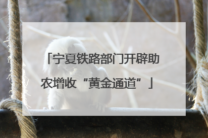 宁夏铁路部门开辟助农增收“黄金通道”