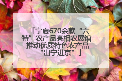 宁夏670余款“六特”农产品亮相农展馆 推动优质特色农产品“出宁进京”
