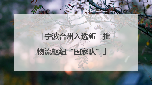 宁波台州入选新一批物流枢纽“国家队”