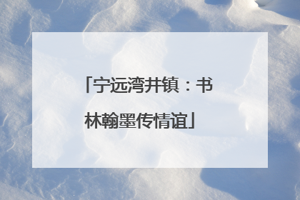 宁远湾井镇：书林翰墨传情谊