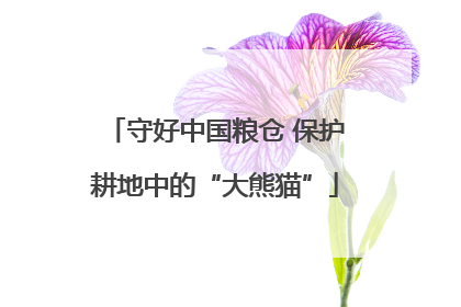 守好中国粮仓 保护耕地中的“大熊猫”