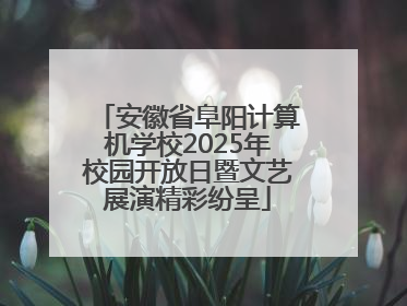 安徽省阜阳计算机学校2025年校园开放日暨文艺展演精彩纷呈