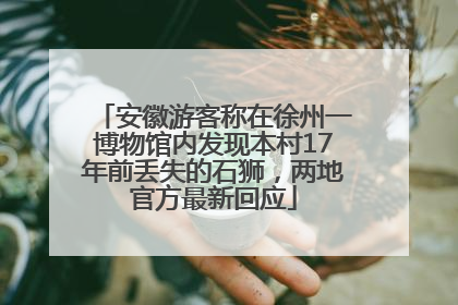 安徽游客称在徐州一博物馆内发现本村17年前丢失的石狮，两地官方最新回应