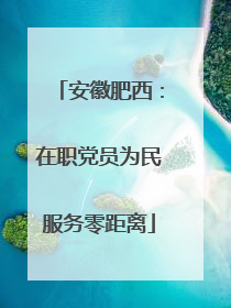 安徽肥西：在职党员为民服务零距离