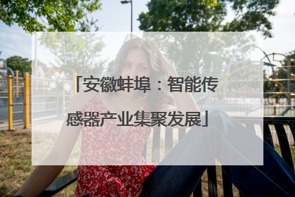 安徽蚌埠：智能传感器产业集聚发展