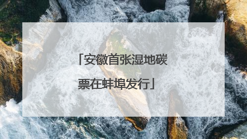 安徽首张湿地碳票在蚌埠发行