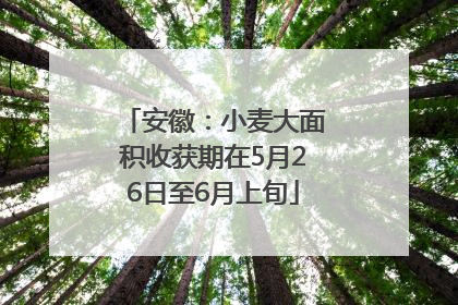 安徽：小麦大面积收获期在5月26日至6月上旬