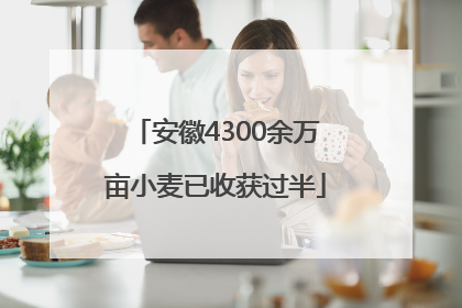 安徽4300余万亩小麦已收获过半