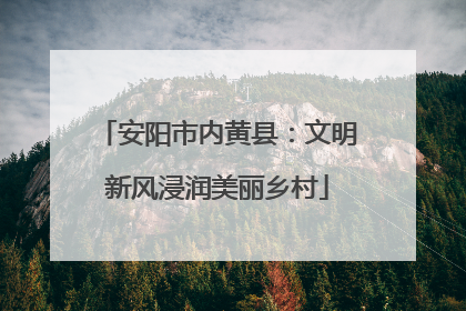 安阳市内黄县：文明新风浸润美丽乡村
