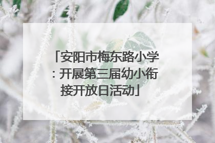 安阳市梅东路小学：开展第三届幼小衔接开放日活动