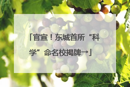 官宣！东城首所“科学”命名校揭牌→