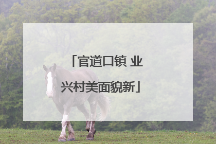 官道口镇 业兴村美面貌新