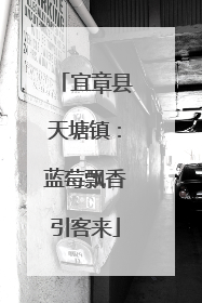 宜章县天塘镇：蓝莓飘香引客来