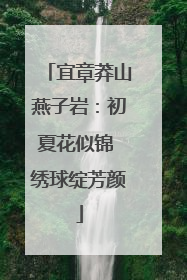宜章莽山燕子岩：初夏花似锦 绣球绽芳颜