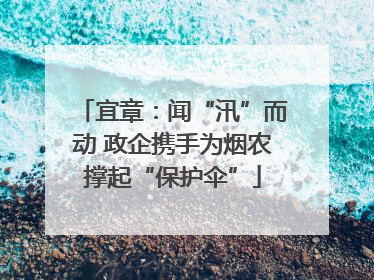 宜章：闻“汛”而动 政企携手为烟农撑起“保护伞”