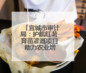 宜城市审计局：护航红薯育苗灌溉项目 助力农业增效农民增收