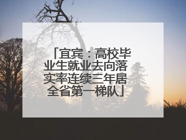 宜宾：高校毕业生就业去向落实率连续三年居全省第一梯队