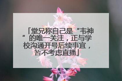 堂兄称自己是“韦神”的唯一关注，正与学校沟通开号后续事宜，暂不考虑直播