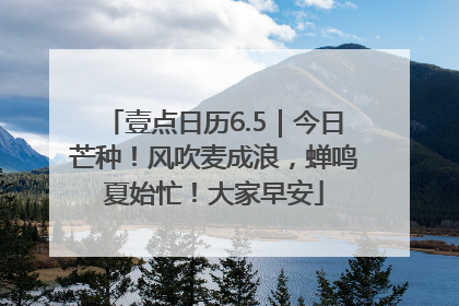 壹点日历6.5｜今日芒种！风吹麦成浪，蝉鸣夏始忙！大家早安