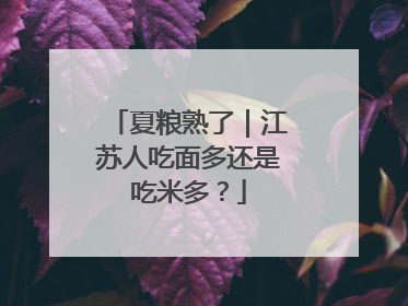 夏粮熟了｜江苏人吃面多还是吃米多？