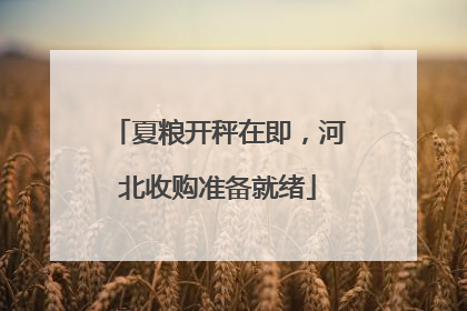夏粮开秤在即，河北收购准备就绪