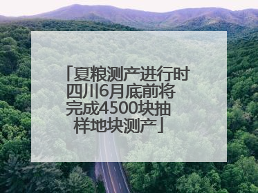 夏粮测产进行时 四川6月底前将完成4500块抽样地块测产