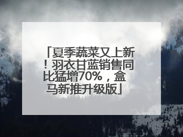 夏季蔬菜又上新！羽衣甘蓝销售同比猛增70%，盒马新推升级版