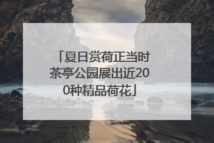 夏日赏荷正当时 茶亭公园展出近200种精品荷花